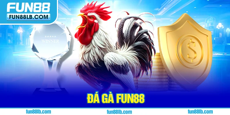 Khám phá đá gà FUN88 có gì thu hút Khám phá đá gà FUN88 có gì thu hút